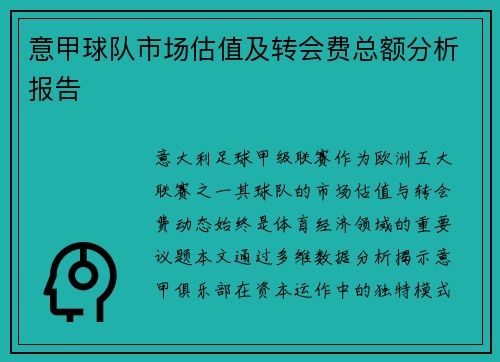 意甲球队市场估值及转会费总额分析报告