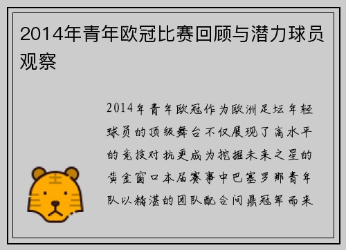 2014年青年欧冠比赛回顾与潜力球员观察