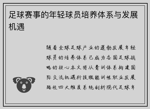 足球赛事的年轻球员培养体系与发展机遇