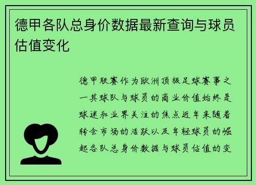 德甲各队总身价数据最新查询与球员估值变化